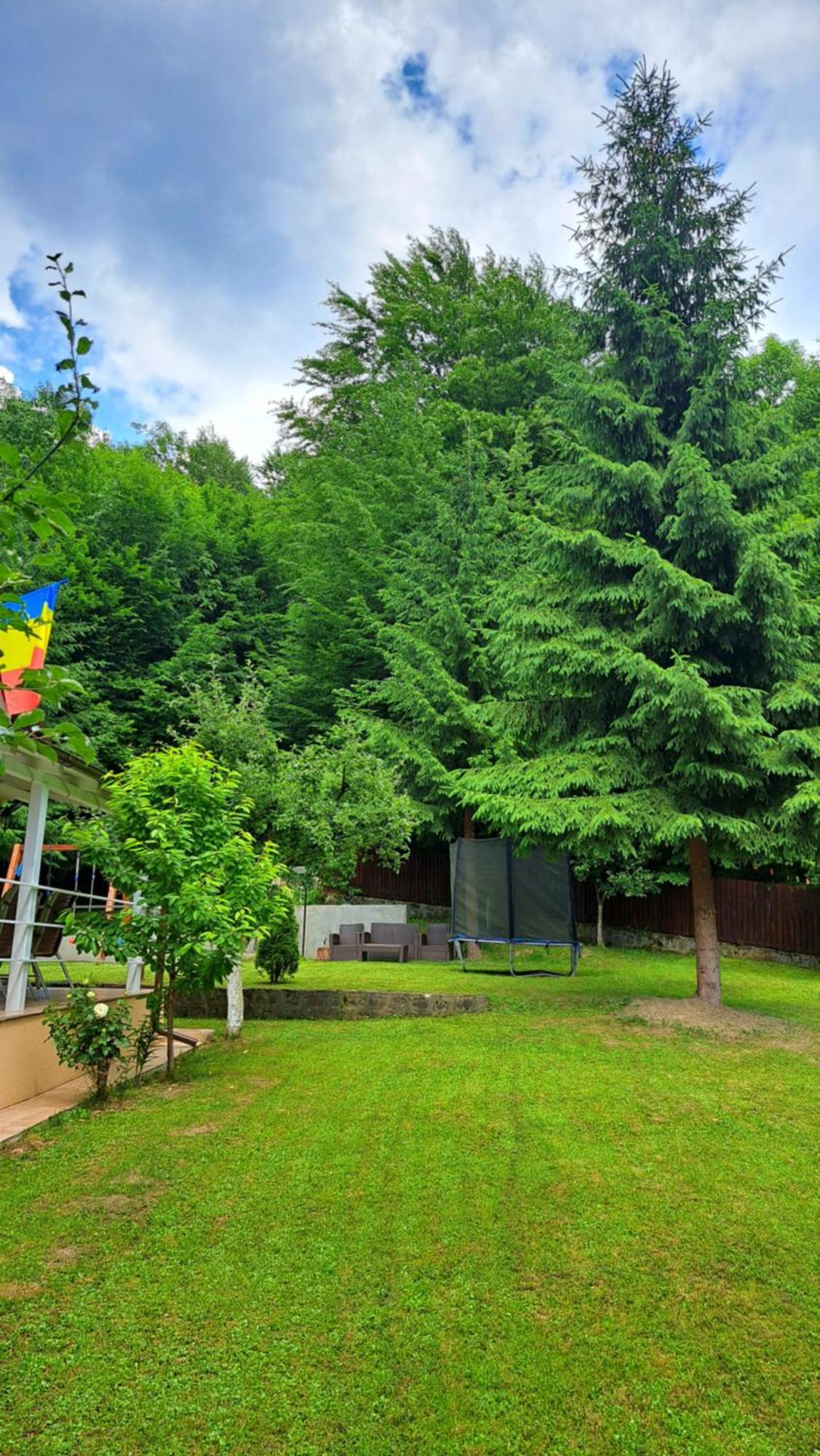 Hotel Casa Aris Lepsa Vrancea Exterior foto