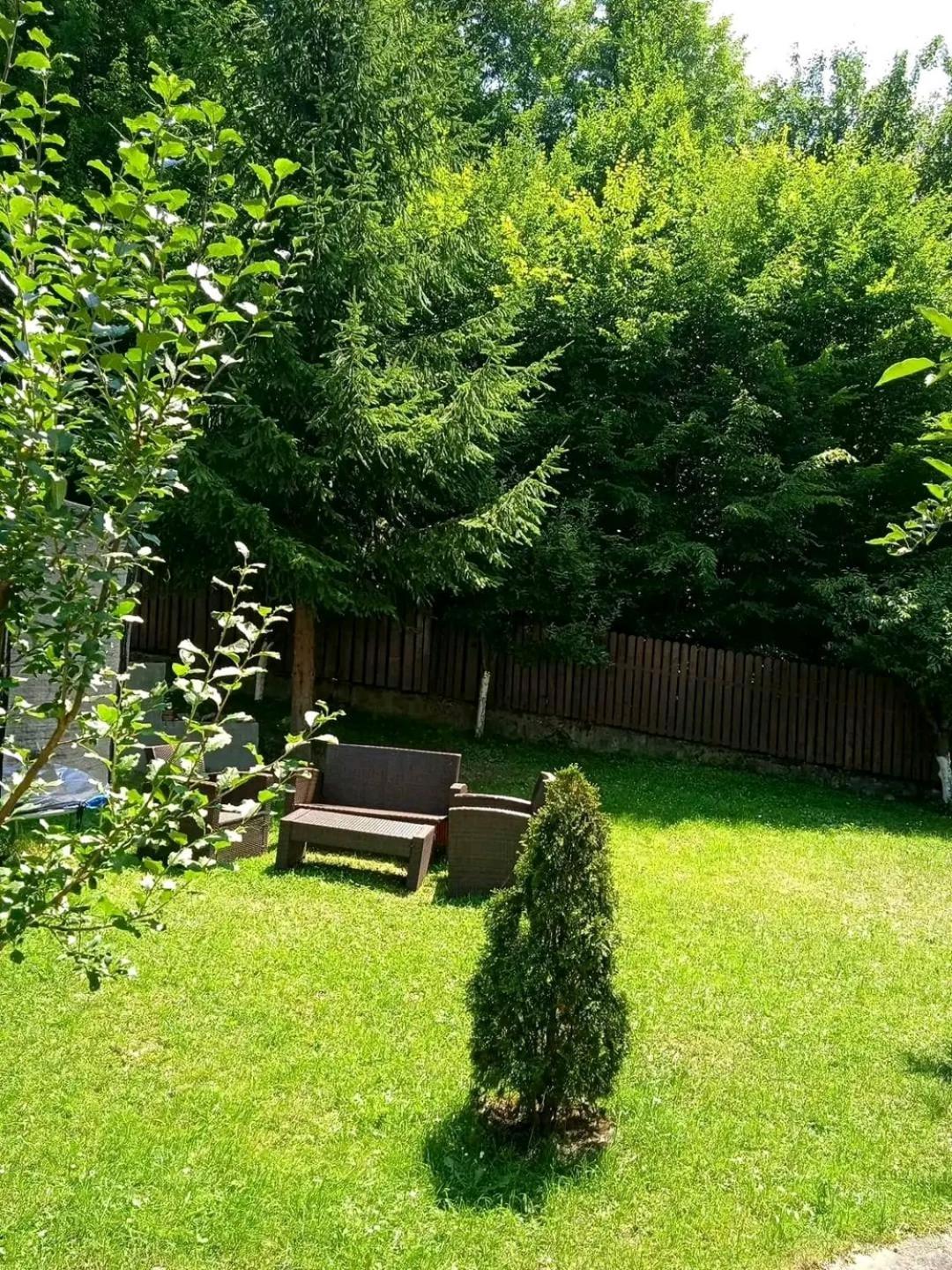 Hotel Casa Aris Lepsa Vrancea Exterior foto